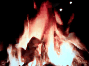 Die linke Hälfte wurde mit Cinemagram animiert