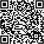 HERE City Lens (Lumia WP8)