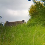 Telephoto-Lens-with-zoom