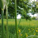 Telephoto-Lens-without-zoom