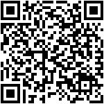 HERE Drive (WP8)