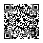 qr code Longest Flight