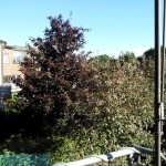 Bild005