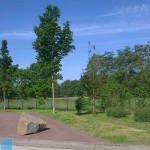 WP_20140504_001