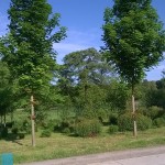 WP_20140504_002