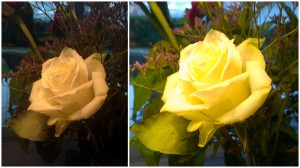 links HP Pro 610 - rechts Lumia 1020